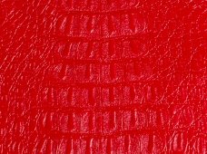 Gator Red