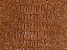Gator Saddle